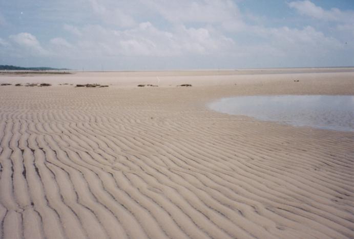 S_3580.jpg