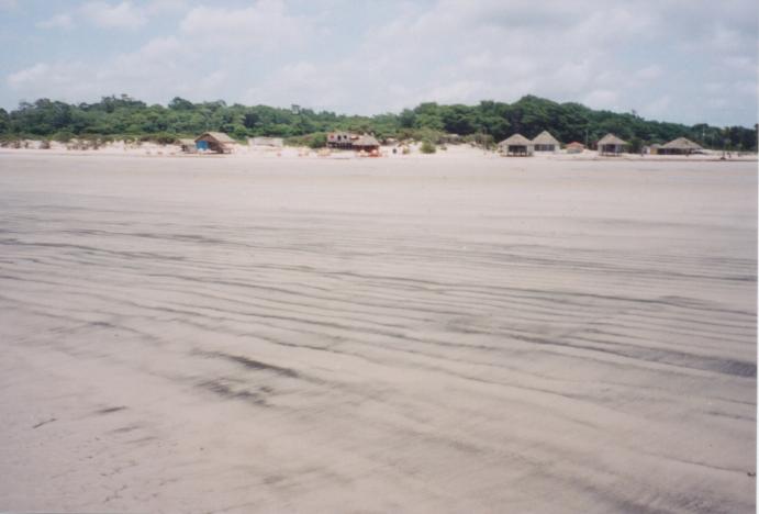S_3610.jpg