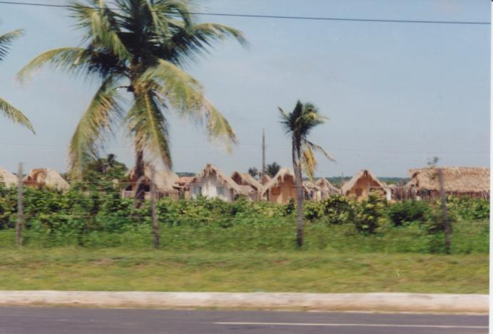 S_3690.jpg