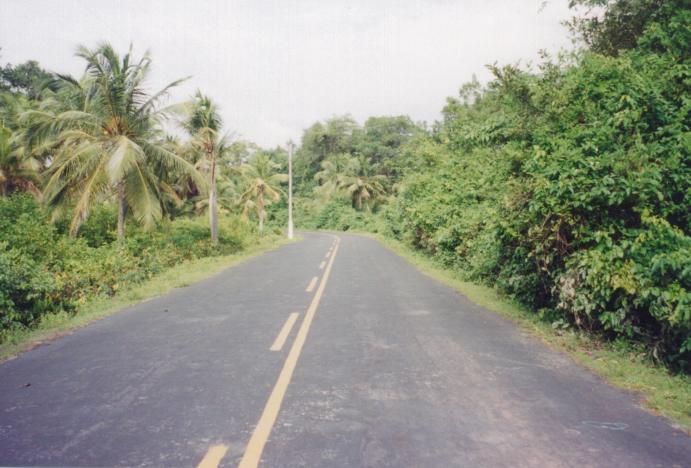 S_3730.jpg
