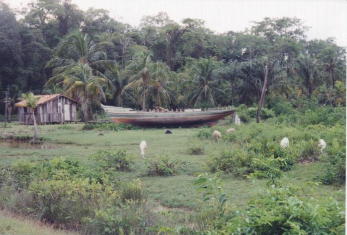 S_3760.jpg
