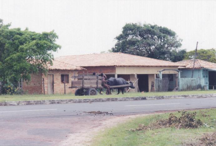 S_3770.jpg