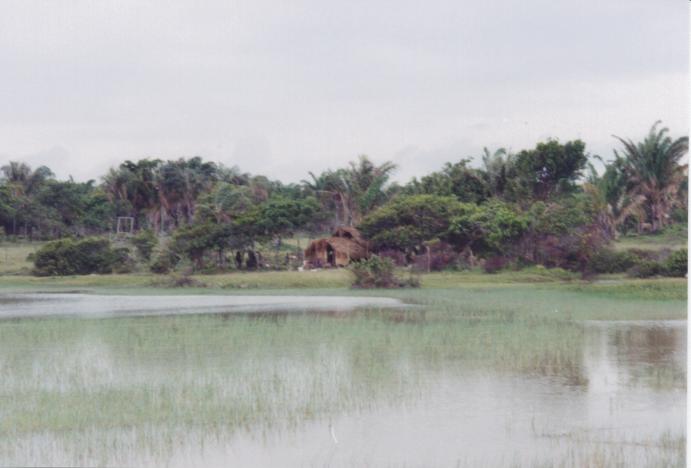 S_3780.jpg