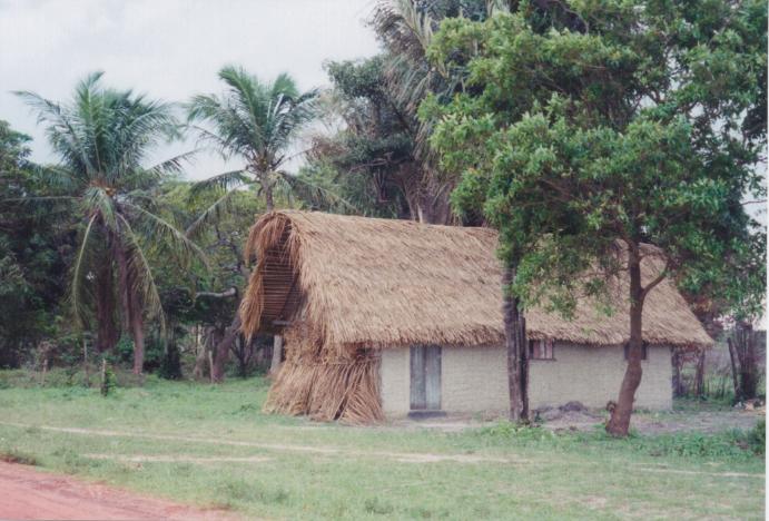 S_3810.jpg